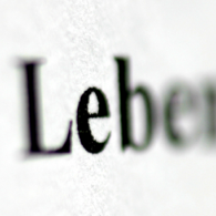 Lebensversicherungen (Glossar)